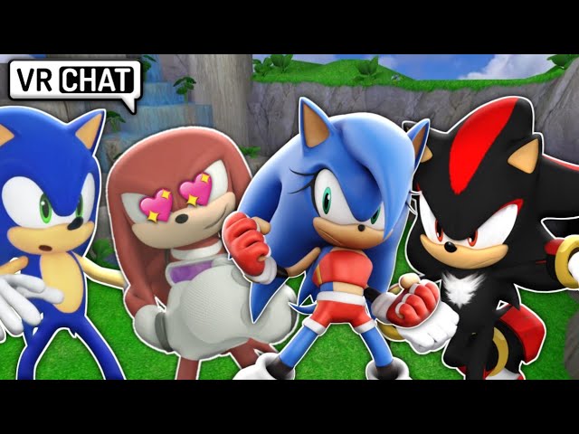 Sonic, Shadow & Silver Go To The Beach (VR Chat) 