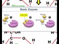 Dehydration Synthesis and Hydrolysis Quiz