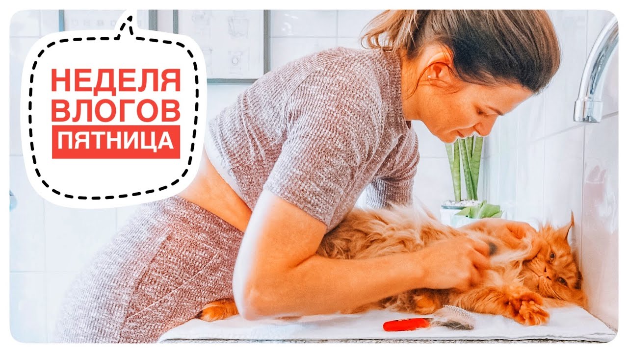 ?? Неделя влогов ДЕНЬ 6 | Чего боятся "счастливые мамочки"? | Почему у ...