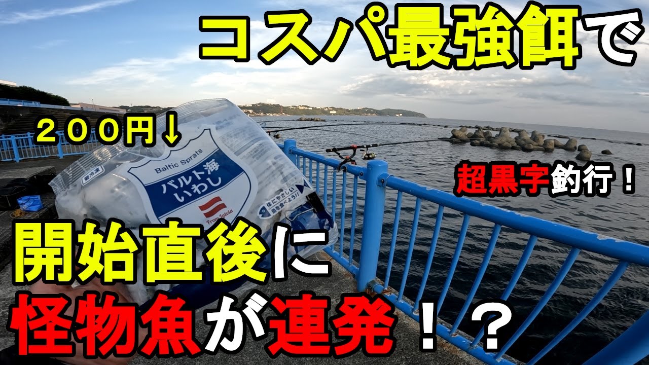 【神奈川県某所】コスパ最強餌で開始直後に怪物魚が連発！？秋の11月上旬、関東地方の相模湾側に面している釣り場で業務スーパーの200円の釣り餌でとある魚を狙って釣りしてみたら…！【2023.11.05】