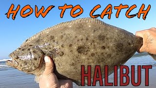 How to Catch HALIBUT Surf Fishing in Socal
