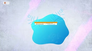 Ecological Footprint Report