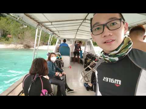 Sipadan Island . Whale Shark !!!  Seaventures Dive Rig