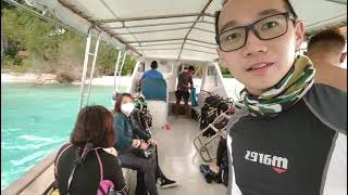 Download Lagu Sipadan Island . Whale Shark !!!  Seaventures Dive Rig MP3