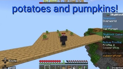 cubecraft Skyblock part 2 exploring the new island!!!