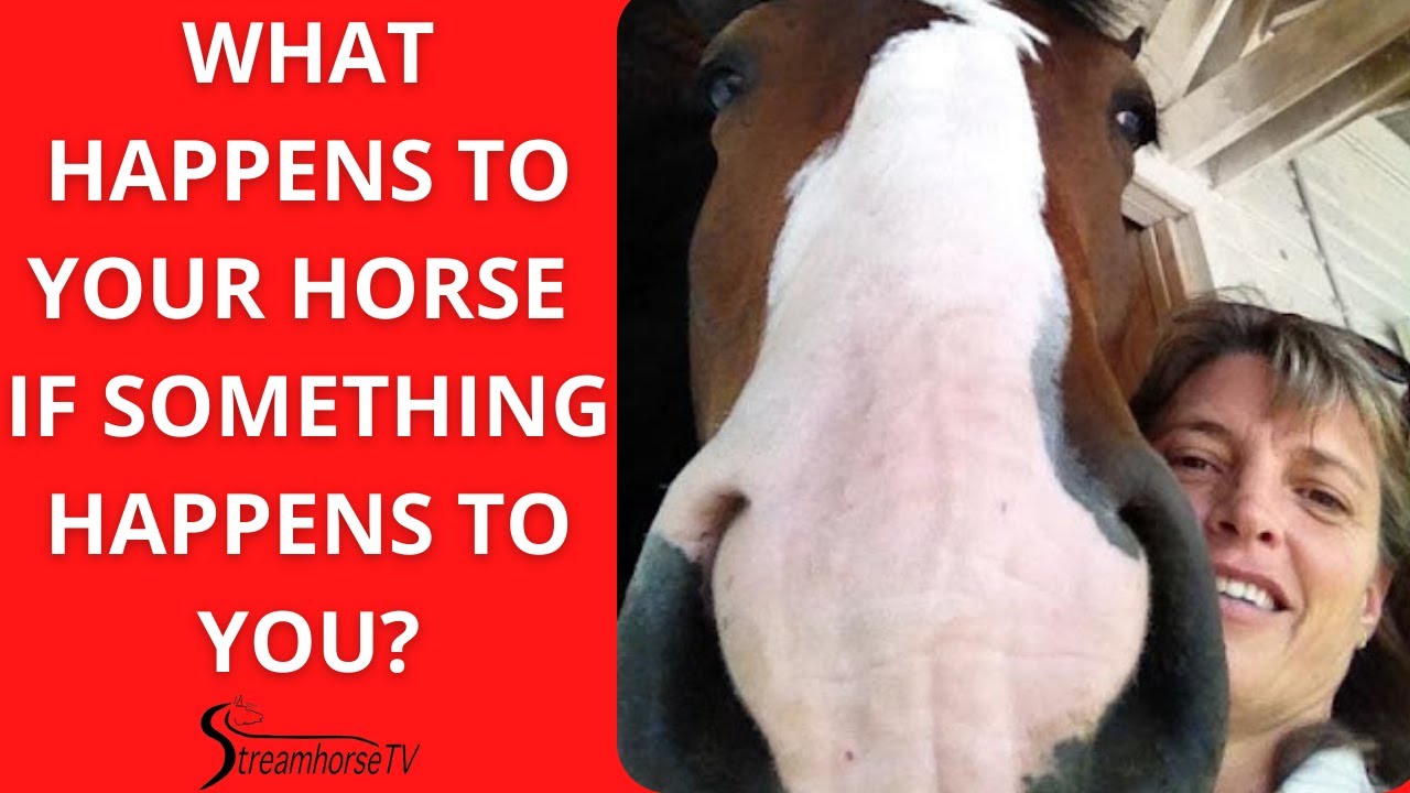 Equine Business Series: What Happens To Your Horse If Something Happens To You?