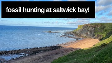 Guide to fossil hunting at Saltwick Bay, Whitby, North Yorkshire.