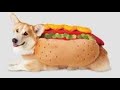 Friday Fun Stream