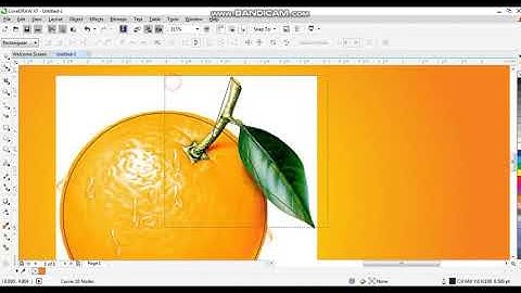 How to make Orange Juice Label Design Using CorelDraw
