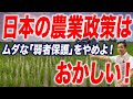 【大問題】ポテンシャルを活かしきれない日本の農政【朝香豊の日本再興チャンネル】