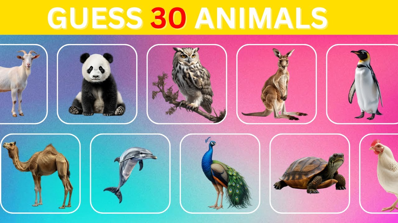 Guess 30 Animals for Kids | Fun Animal Quiz | Learn Animal Names | Quiz ...