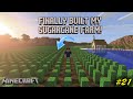 FINALLY BUILT SUGARCANE FARM (SOFTNO GAMERB)
