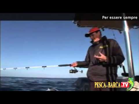 Dal polpo al dentice corazziere – Pesca Dalla Barca TV