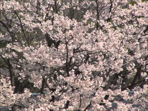 「絆」オルゴールver.