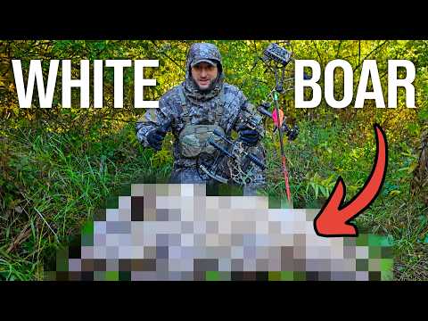 Bowhunting in Michigan