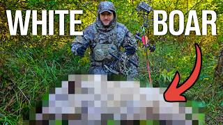 Bowhunting in Michigan