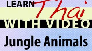 Learn Thai with Video - Jungle Animals