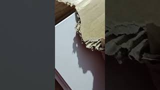 ppc poam ini bisa dibuat kerajinan apa yah #pvc #pvcfoamboard