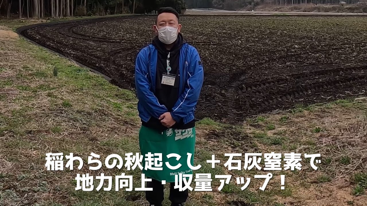 稲わらの秋起こし＋石灰窒素で地力向上、収量アップを目指そう！！