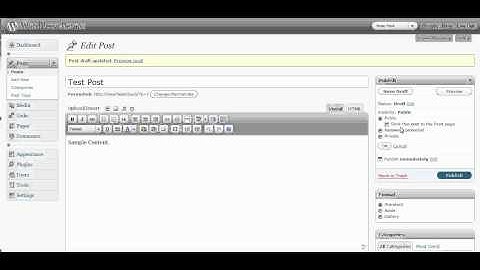 Lesson 7 - Publishing in WordPress