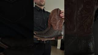 No Horse But Got A Hog