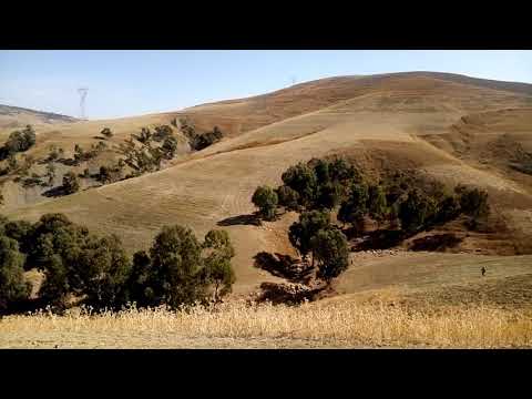 الصيد بسلوقي في لابيض مجاجة