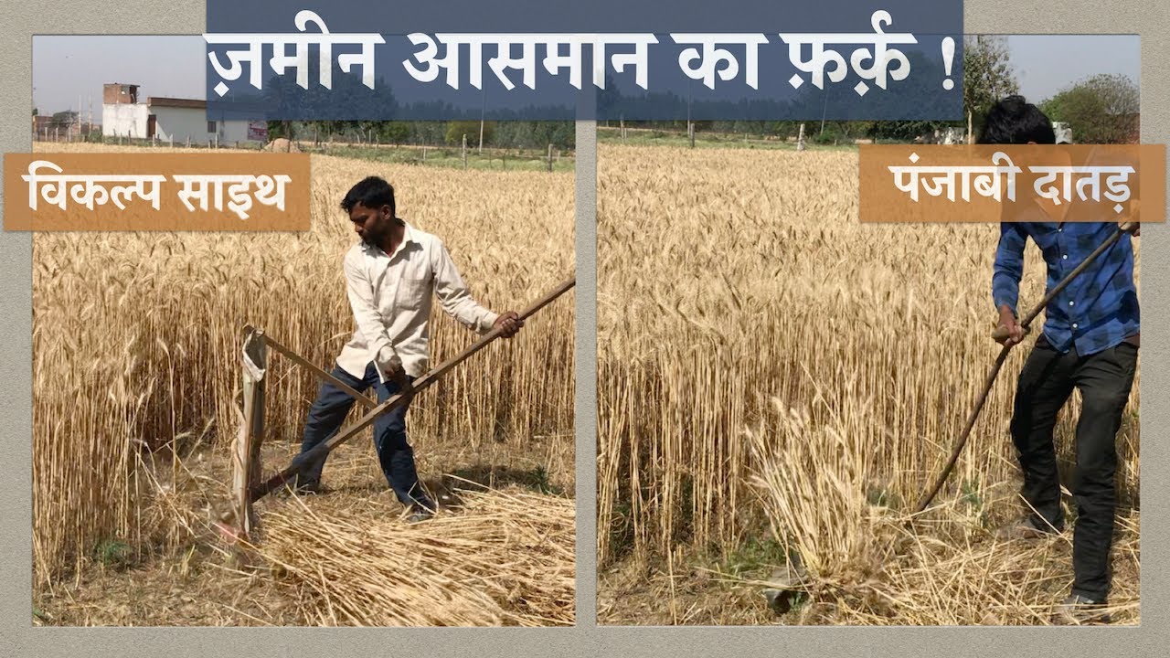 विकल्प साइथ vs पंजाबी दातड़- एक मुक़ाबला जो मुक़ाबले जैसा नहीं !