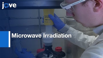 Backbone Cyclic Peptide Library for Antiparasitic Therapeutics | Protocol Preview