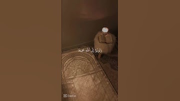 استمع للقرآن الكريم جزاك الله خيرا￼