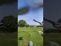 Pov pigeon race 🏁