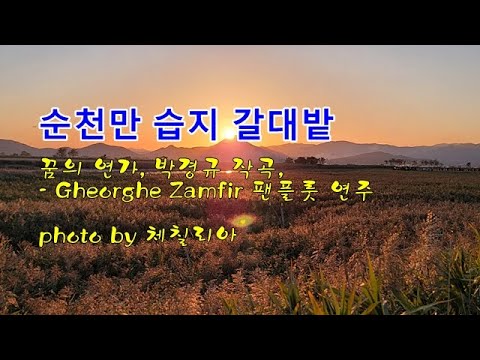 <strong>순천만</strong> 습지 <strong>갈대밭</strong> &amp;amp; 꿈의 연가 / 박경규 작곡, Gheorghe Zamfir 팬플룻 연주 &amp;amp; photo by 체칠리아
