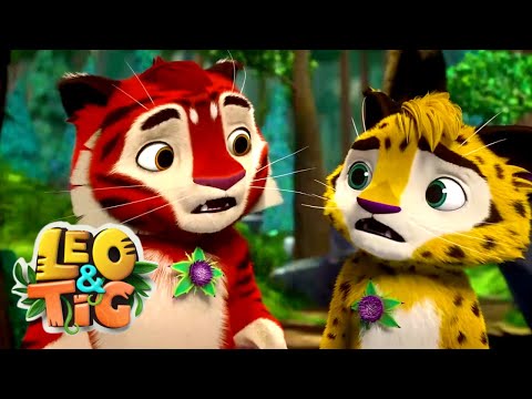 Leo e Tig ⭐  Patrulha da Floresta ⭐ Desenhos Animados Engraçados Para Crianças