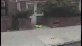 Kermit jump
