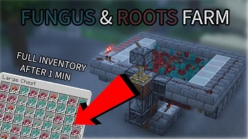 The EASIEST Fungus & Roots Farm | Minecraft Java 1.21.8
