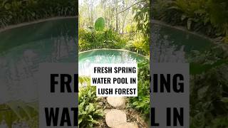 Relaxing Spring Pool In the Forest Mountains Staycation Alhibe Farm Cebu Philippines @AlhibeFarm