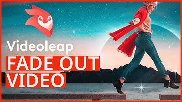 How to Fade-Out A Video In Videoleap 2023?
