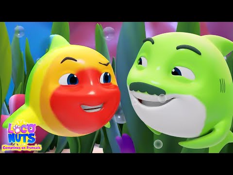 Peek A Boo Bébé Requin Chanson + Plus Vidéos Dessins Animés et Poèmes pour Bébé