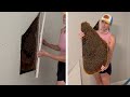 Tens of Thousands of Bees Discovered Behind Bedroom Wall