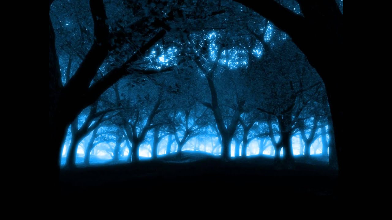 Electroconductor - Midnight