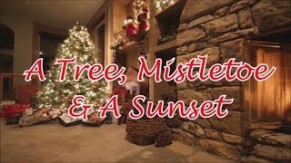 A Tree, Mistletoe & a Sunset