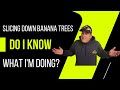 Ohio Boy VS Banana Trees: Did He Do It Right?