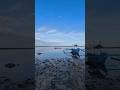 #zoom #beach #lowtide #ocean #nature #puertoprinsesa #boats