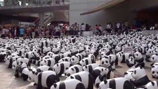 WWF Bangkok 1600 Pandas exhibition by French artist Paulo Grangeon