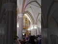 музыка из Гарри Поттера на органе. Римско-католический костёл (Иркутск) #organ #music #harrypotter