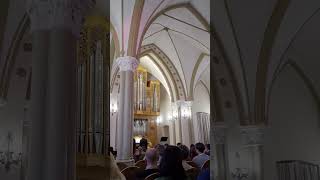 музыка из Гарри Поттера на органе. Римско-католический костёл (Иркутск) #organ #music #harrypotter