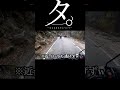 タ。-立ち止まる牛について-