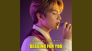 I Cant Let You Go
