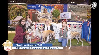 AKC National Championship Meet the Breeds 2019 Slideshow