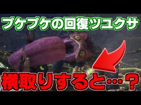 【MHW】プケプケの知られざる生態！？食事を横取りされたプケプケのとった意外な行動とは【モンハンワールド】