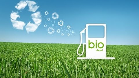 Animation of the production of biodiesel